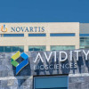 Basel, Switzerland, Oct. 26—Swiss pharmaceutical company Novartis said Sunday it will acquire the U.S.-based biotechnology firm Avidity Biosciences for about $12 billion in cash, Read For More information