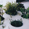 Growing Vegetables Indoors for Beginners: Your Complete How-To Guide with easy tips to start, care for, and harvest fresh veggies year-round!