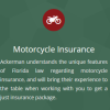 If you merge Mexico with Florida, Naples is famous for its luxury style, beaches, and seasonal traffic during the season. Whether you are a resident or spending the winter months in paradise, one thing remains essential: to go with auto insurance plans Naples FL. 