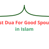In Islam, choosing a good spouse is one of the most important decisions in life. A righteous husband or wife not only helps in building a peaceful life but also strengthens one’s connection w…