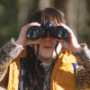 Learn why the Discovery Phase is essential in software development. This phase aligns client and team goals, assesses risks, validates expertise, and ensures realistic budgets and timelines, setting the foundation for project success.