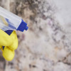 Learn why mold growth continues even during San Diego’s dry season. Discover hidden sources of moisture and how mold remediation in San Diego keeps your home safe. To know more about Mold Remediation in San Diego you visit:- https://restsol.com/mold-growth-during-dry-weather-san-diego/
