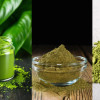 MB Kratomtom is your trusted wholesale supplier of Kratom extract in the USA. We provide top-tier premium Kratom extract that is harvested from the purest leaves and rigorously lab-tested to ensure safety and potency.

As a bulk buyer, you can buy the cheapest Kratom extract in wholesale without compromising on quality. Our selection includes all popular Kratom strains and extract forms, positioning us as the provider of the best Kratom extract in the USA. Visit MB Kratomtom and enjoy quality you can count on.
