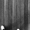 
When it comes to upgrading your home interiors in Mumbai, hardwood flooring stands out as a timeless, elegant, and durable choice. The city’s unique blend of humid coastal climate and urban lifestyle demands flooring that not only looks beautiful but also withstands daily wear and tear. If you’re considering flooring options, here’s why hardwood