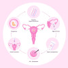 SCI IVF Hospital is the best icsi treatment centre in Delhi, providing advanced, personalized care to help couples achieve parenthood.