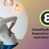 Uncover how acupuncture for lower back pain worls. Learn 8 effective ways it promotes healing, and enhances mobility.