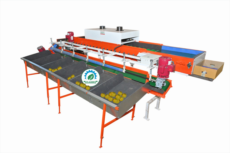 Achieve uniform quality with our Sweet Lemon Grading Machine. Utilizing advanced sorting t...