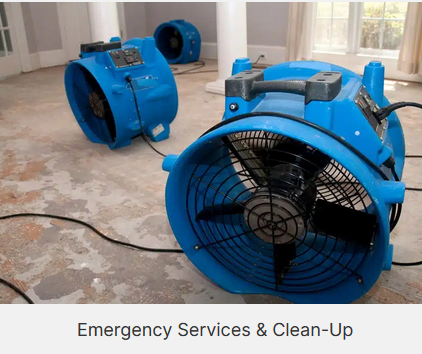 Although the mold is a natural organism, it becomes a serious problem when it infests indo...