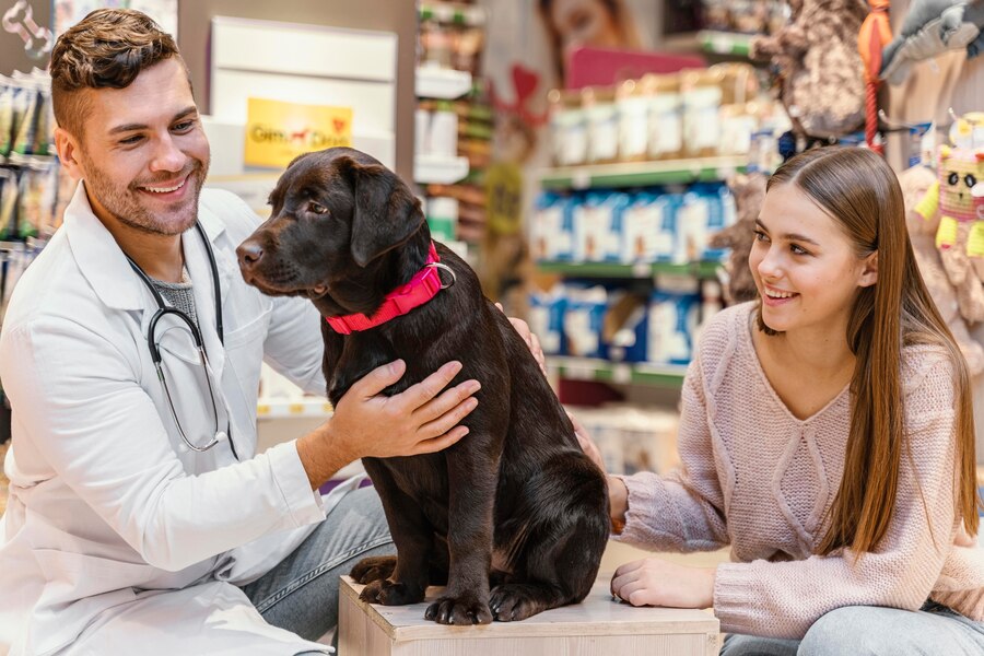 Atlas Veterinary in Vancouver offers top pet care services, including wellness exams, vacc...