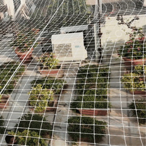 Book professional HDPE Bird Net Sales & Service In India. Trusted by more than 1000+ Custo...