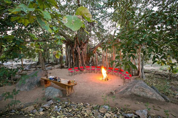 Capture majestic wild tigers from strategically located jungle camps near India's top nati...