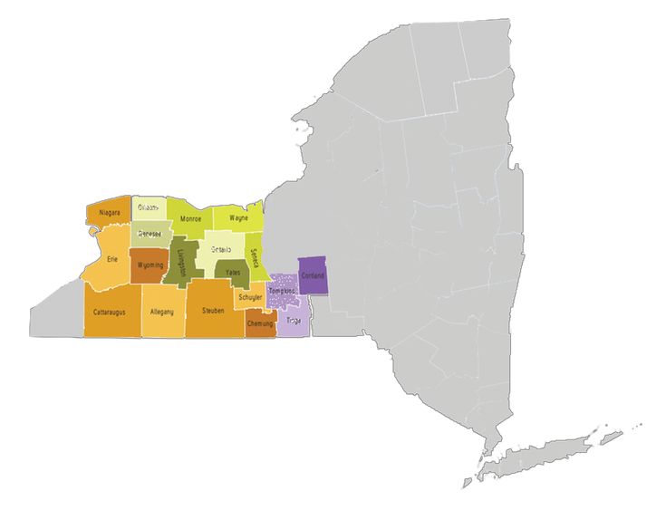 Discover reliable bail bond services in Ontario County, NY. We provide fast, professional ...
