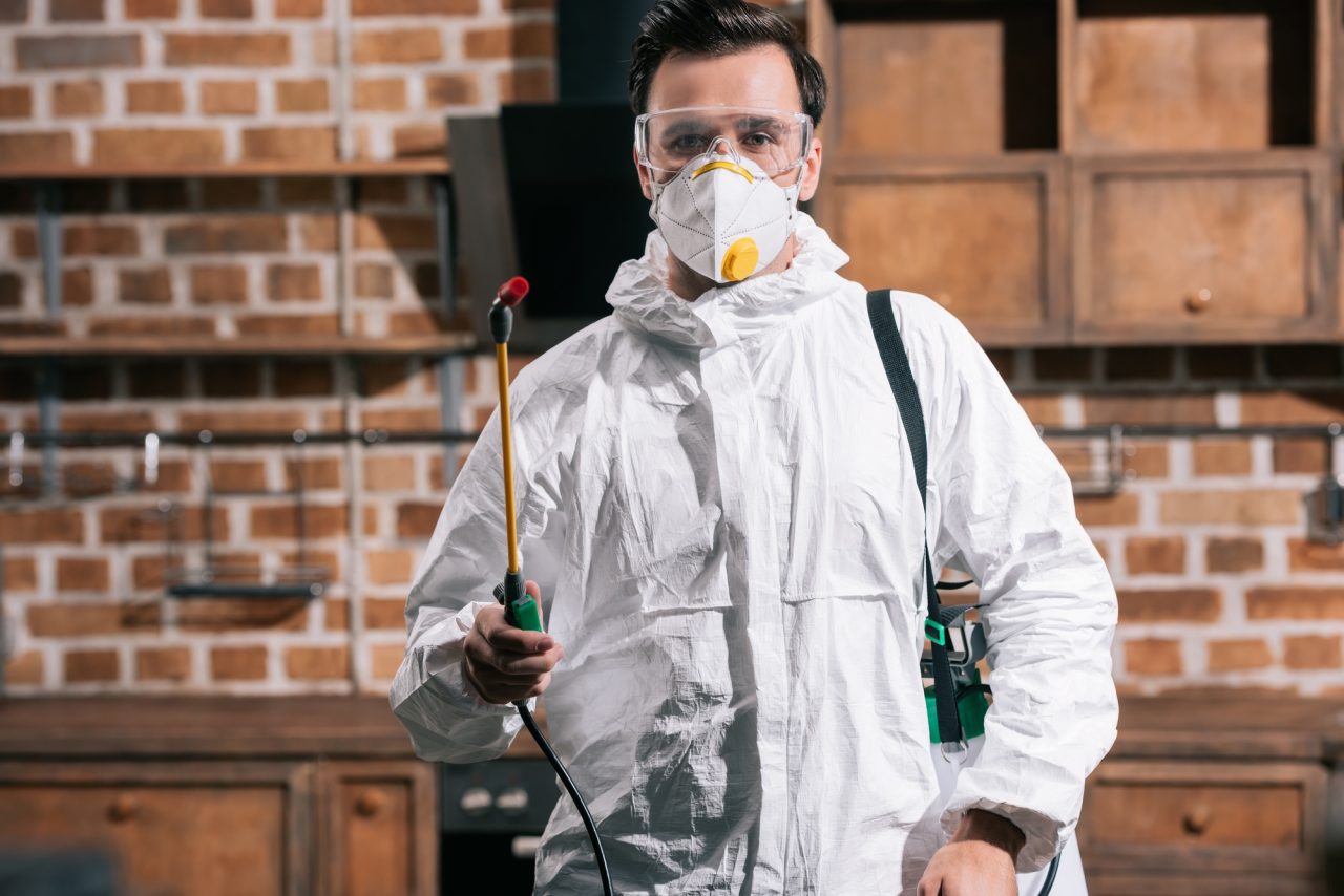 Discover the biggest mistakes people make during pest control and learn how to avoid them....
