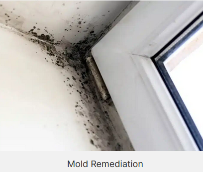Effective mold remediation San Diego follows a strict, industry-approved process to ensure...