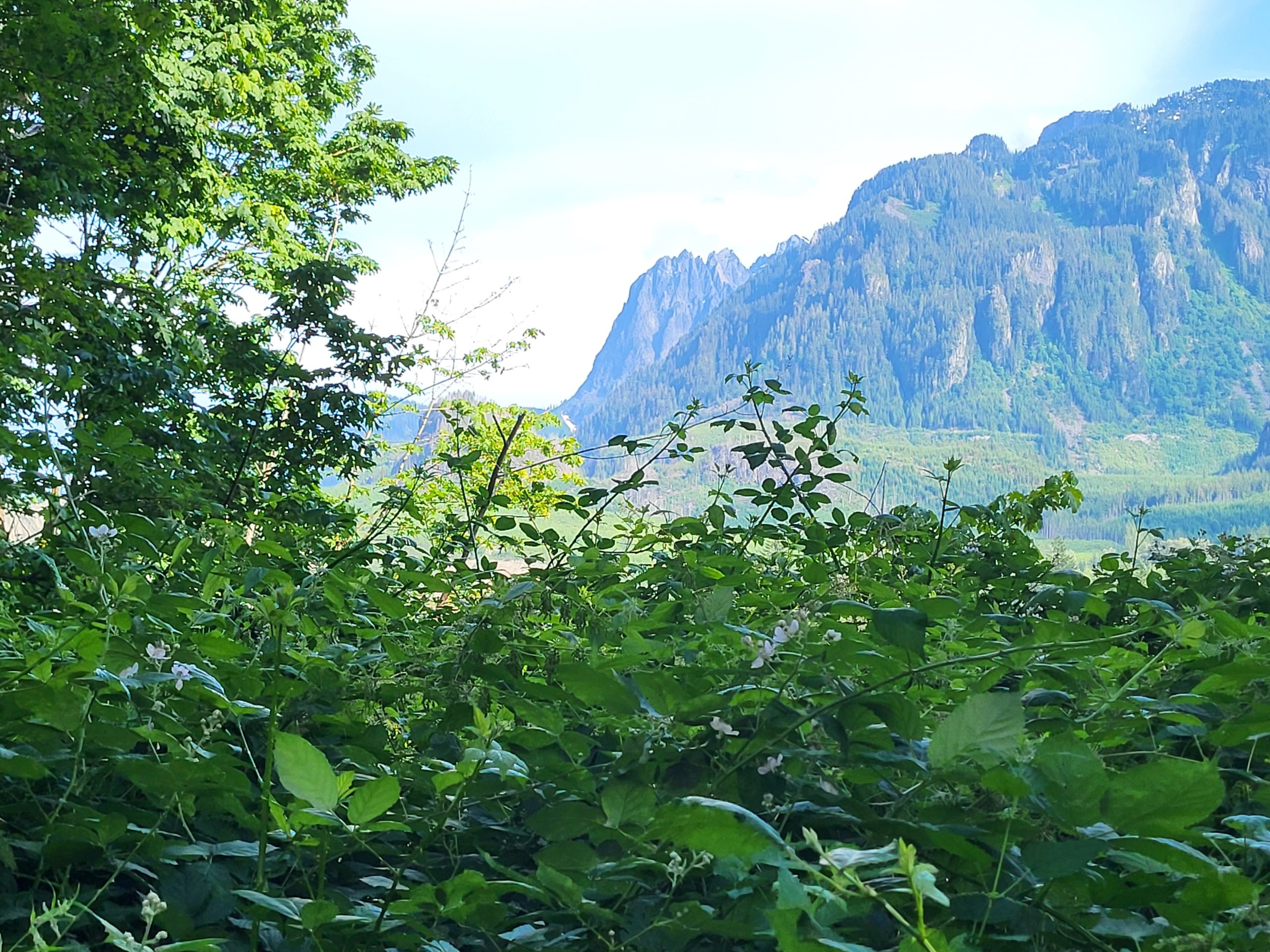 Escape the city with horseback riding near Seattle, where nature, comfort, and guided trai...