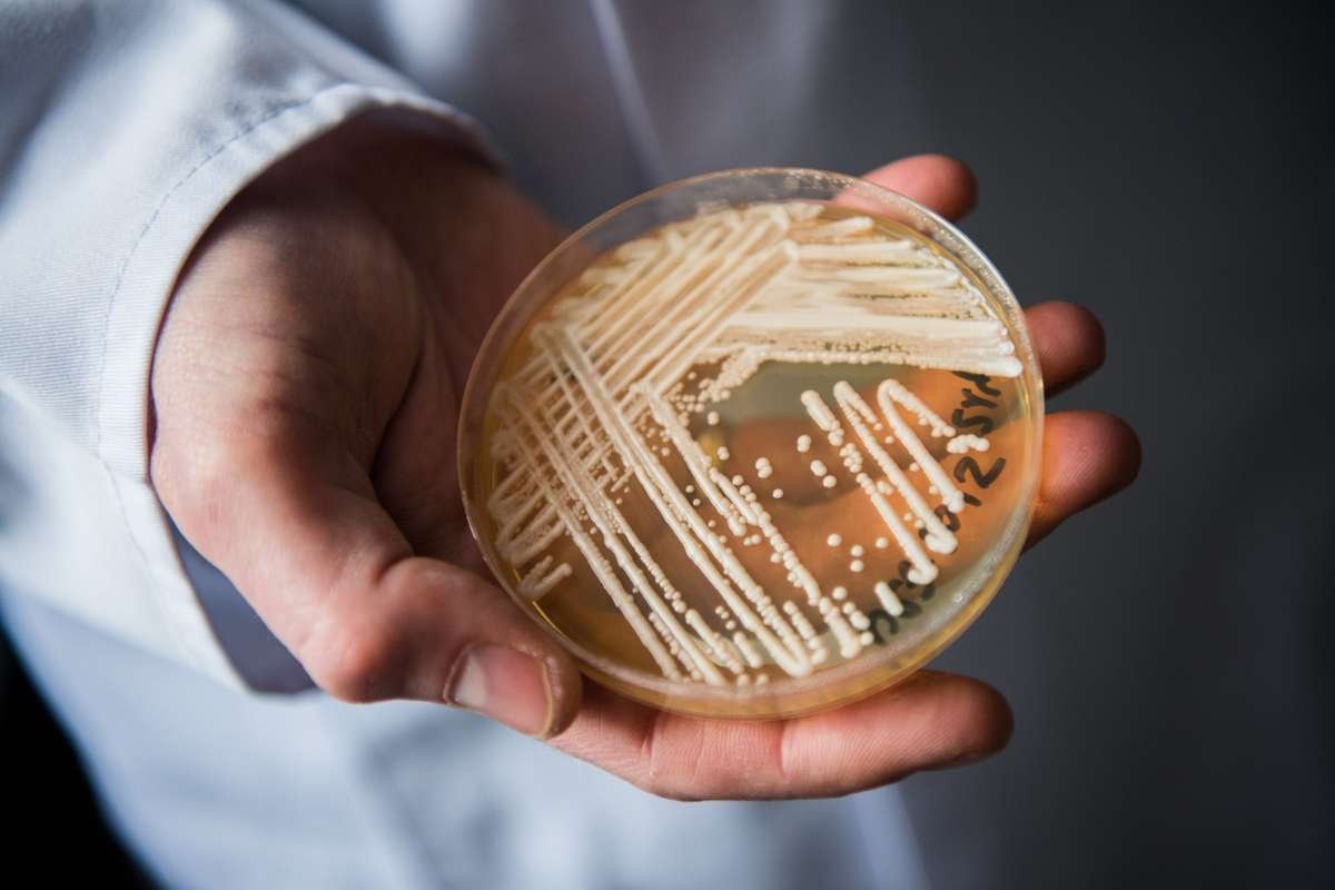 European health authorities are sounding the alarm over the rapid spread of the Multidrug-...