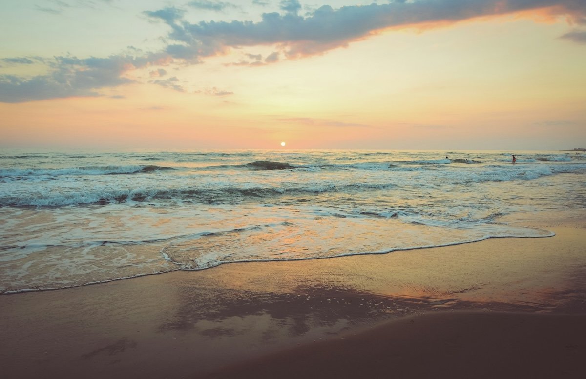 Explore the definitive guide to Kovalam beach resorts. Compare top 5-star and 4-star stays...