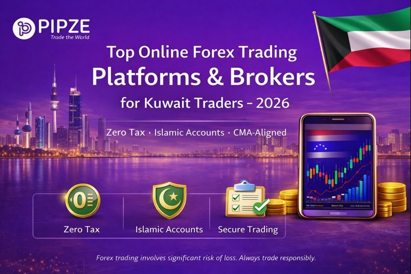 Fatima Al-Rashid, Salmiya - Pipze.com transformed my understanding of financial markets co...