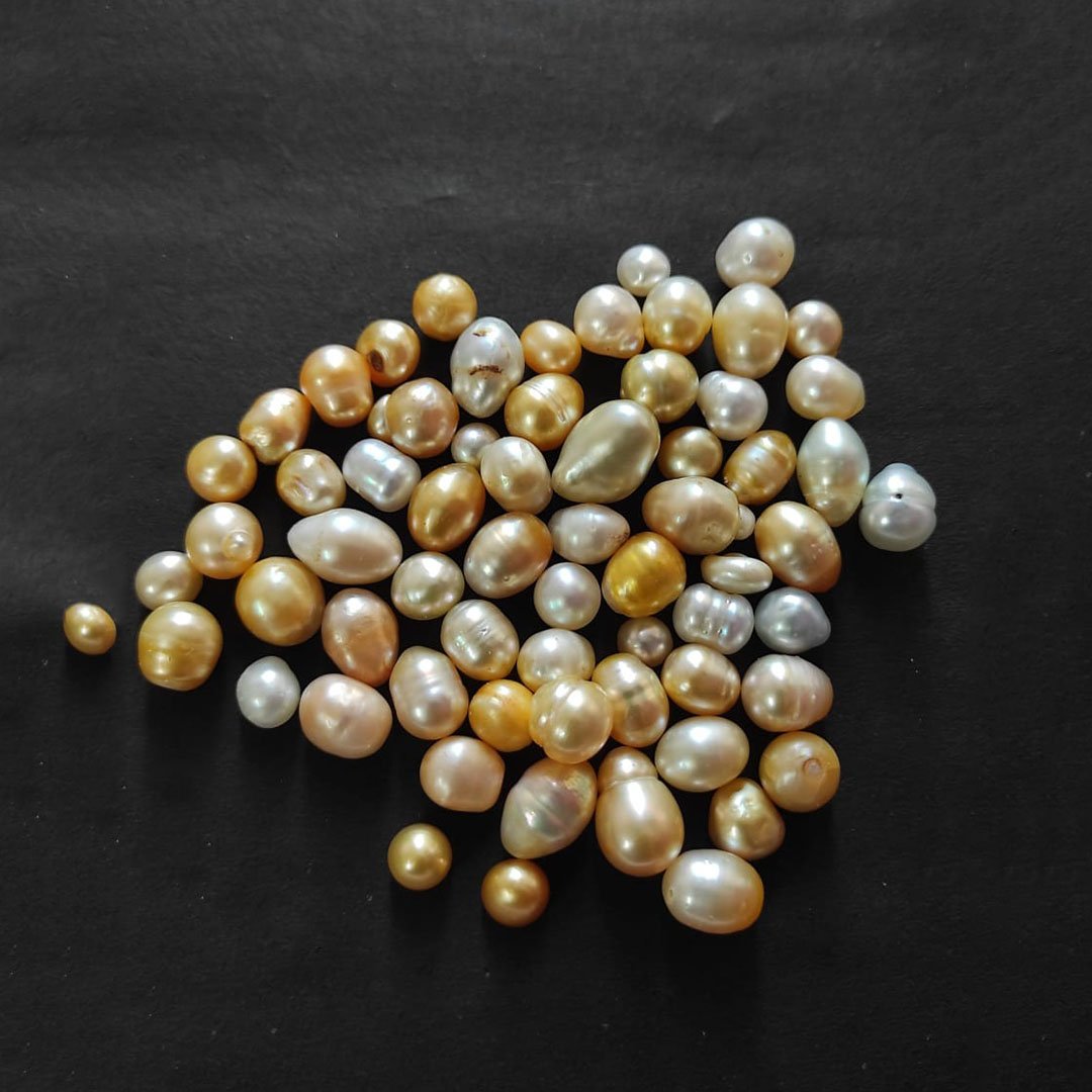 Find the original Basra pearl price in Delhi at Gems Wisdom. Buy certified natural pearls ...