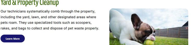  Goose droppings clean up service Kalamazoo MI can be hazardous for children, animals, and...