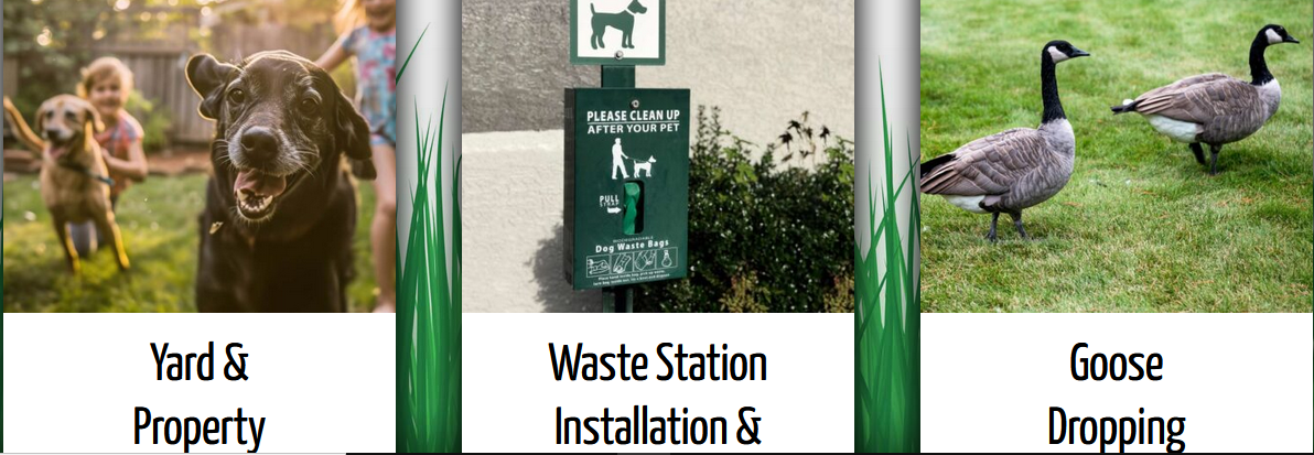 In Kalamazoo, Michigan, known for its community, the community increased the request for a...