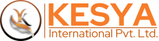 Kesya International is an option to explore when searching for a Slipper Making Machine ma...