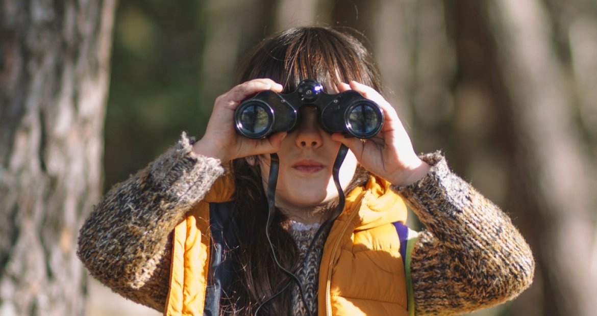 Learn why the Discovery Phase is essential in software development. This phase aligns clie...