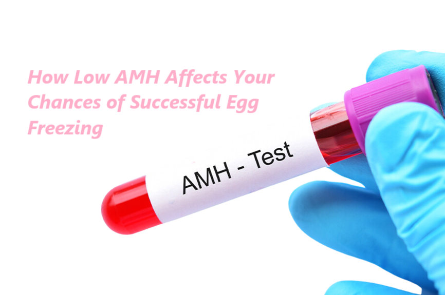 Learn how low AMH levels affect your egg freezing success and discover steps to enhance yo...