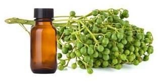 Litsea Cubeba Oil Manufacturer Exporter & Supplier in Ghaziabad India- Vdh Organics Pvt. L...