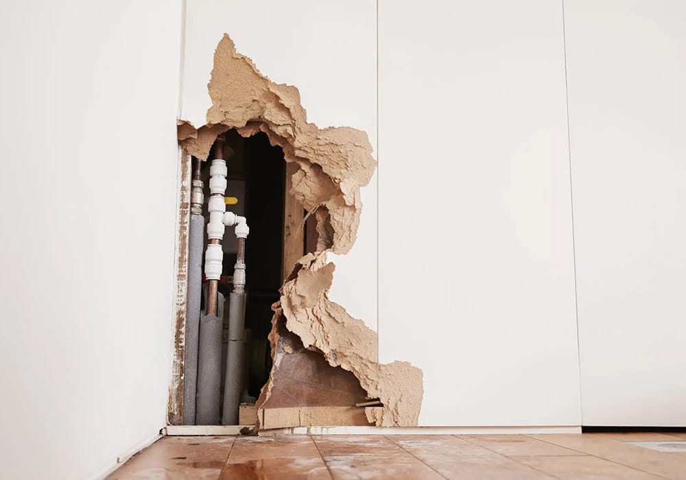 Looking for quality restoration companies in San Diego? Restoration Solutions offers top-n...