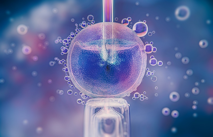 Looking for IUI Success Tips? Discover what to avoid after the procedure and get expert gu...