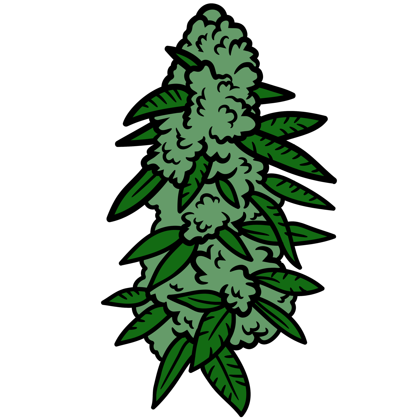 Looking for a flower shop dispensary near you? Explore our curated selection of top-shelf ...