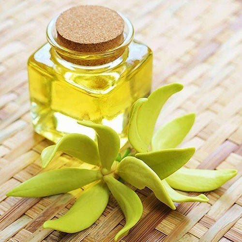 Looking for a reliable Ylang Ylang Oil Manufacturer in India? VDH Organics offers quality-...