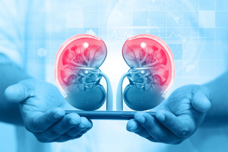  Looking for a trusted kidney specialist in Madurai Devadoss Hospitals offers advanced nep...