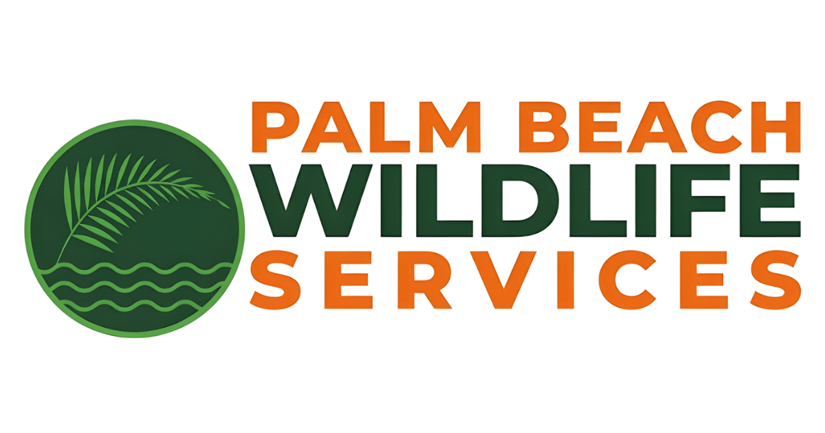 Palm Beach Wildlife Services provides expert animal removal in South Florida, including ra...