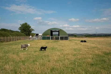Premium goat livestock housing is redefining how farmers support herd health, productivity...