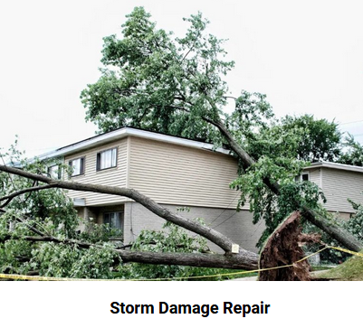 Restoration companies San Diego offers a wide range of appropriate services to treat diffe...