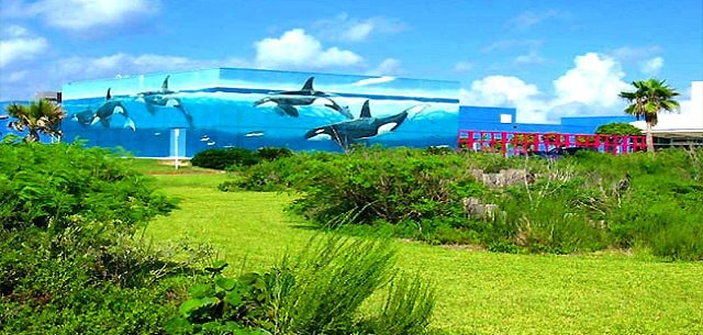 South Padre attractions continue to be a big part of what makes this island not your ave...