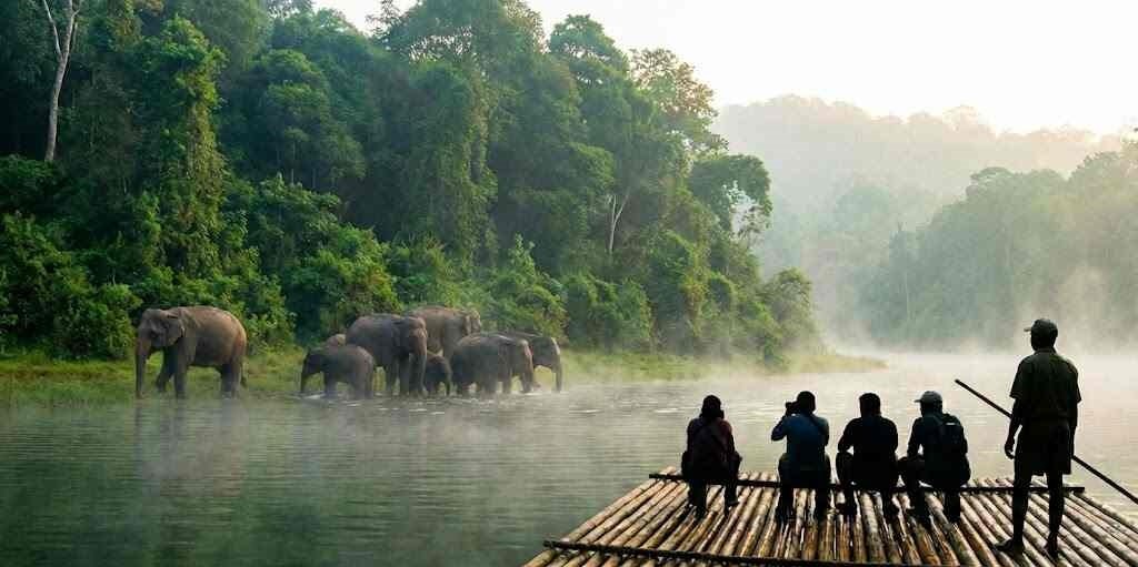 Step into the tranquil rainforests of Periyar National Park. Whether floating on peaceful ...