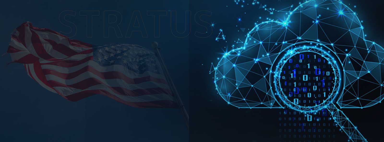 Stratus99 helps businesses and agencies achieve efficiency through advanced IT hardware an...
