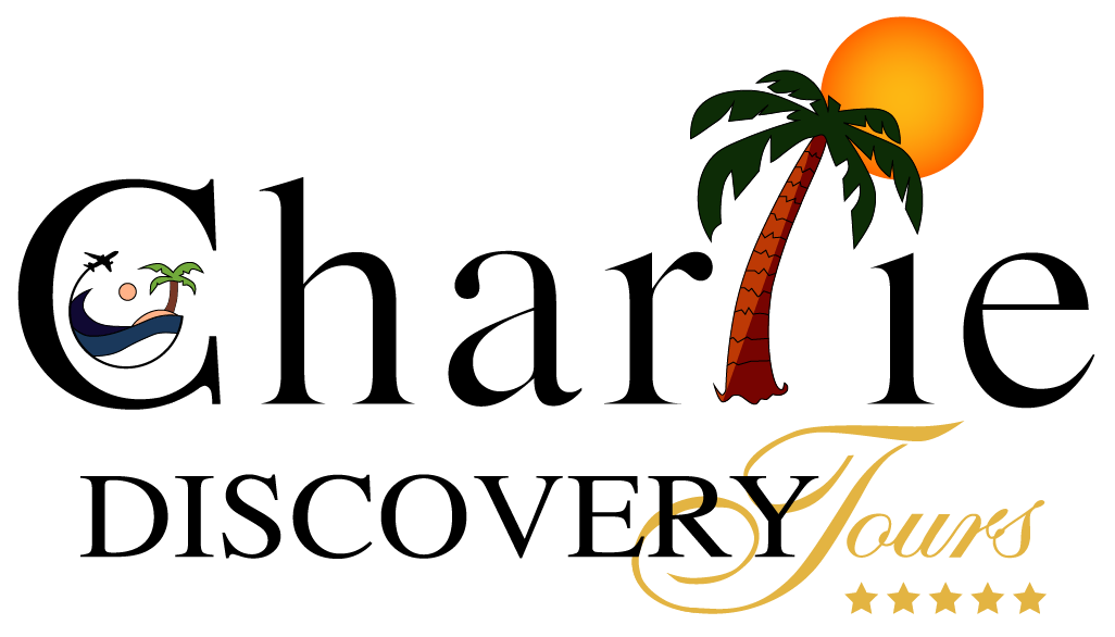 Turn your vacation into a luxury escape aboard a private catamaran in Punta Cana. Enjoy pe...