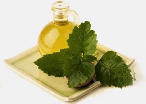 VDH Organics Pvt. Ltd. is a trusted Pine Oil Manufacturer and Supplier in India, providing...