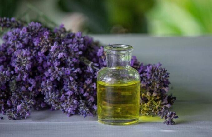VDH Organics is a reliable Lavandin Grosso Oil Manufacturer and Supplier in India, offerin...