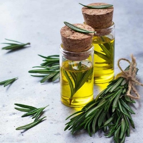 VDH Organics Pvt. Ltd. is a trusted manufacturer and supplier of Rosemary Oil in India, of...