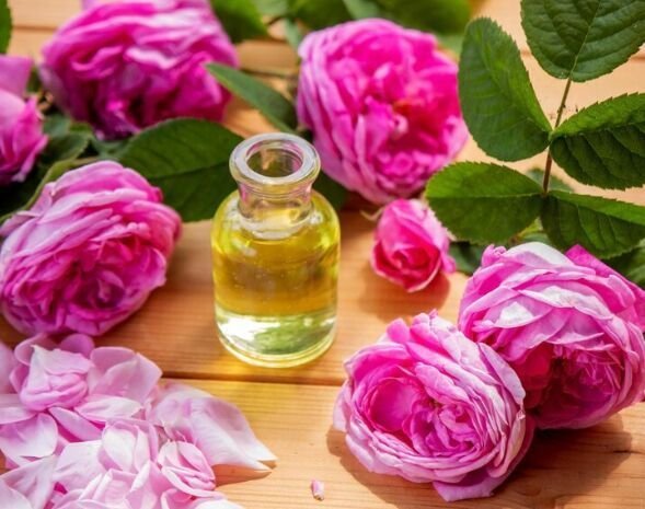 VDH Organics is a trusted Damascus Rose Oil manufacturer and bulk supplier in India, offer...