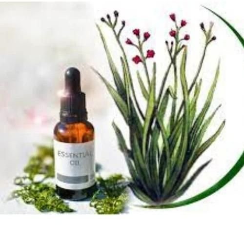 VDH Organics is a trusted Palmarosa Oil manufacturer and supplier in India, offering quali...
