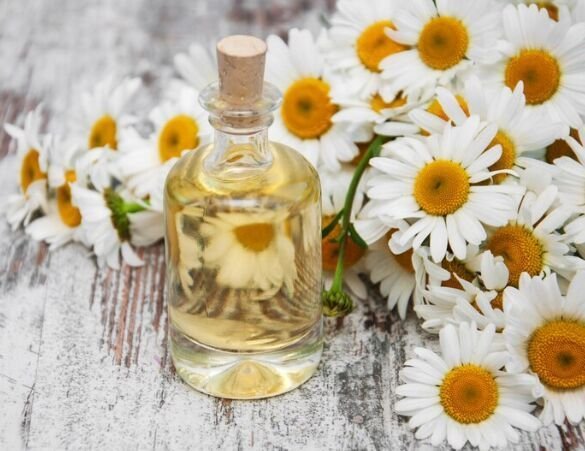 VDH Organics Pvt. Ltd. is a trusted Chamomile Oil Manufacturer, Exporter and Supplier in I...