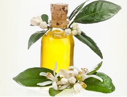 VDH Organics Pvt. Ltd. is a trusted Amyris Oil Manufacturer in India, offering premium-qua...