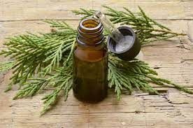 VDH Organics is a trusted Cypress Oil manufacturer and supplier in India, offering quality...