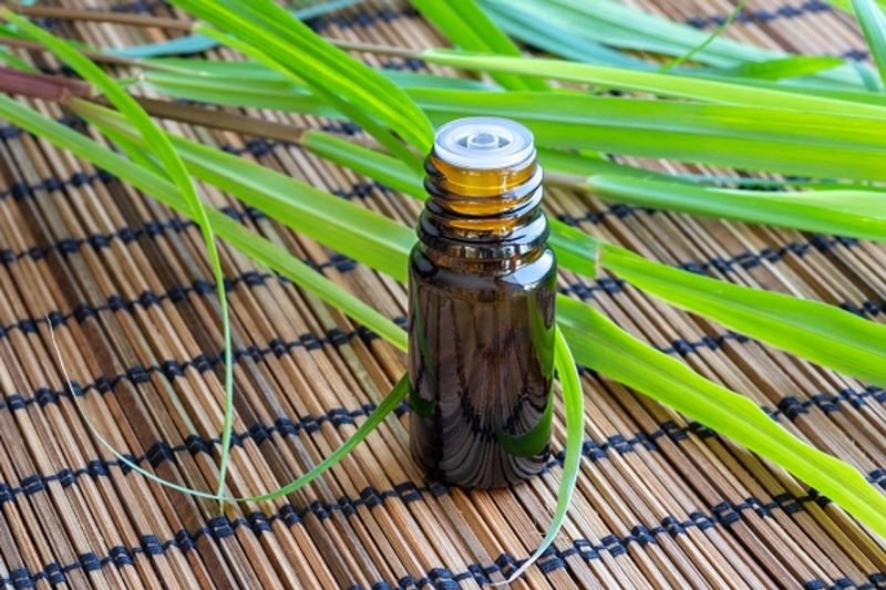 VDH Organics Pvt. Ltd. is a trusted Citronella Oil Java manufacturer and supplier in India...